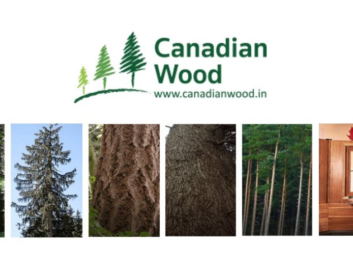 Building a Sustainable Future with Canadian Wood